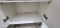 /album/apto-1051/img-20250904-wa0285-jpg/